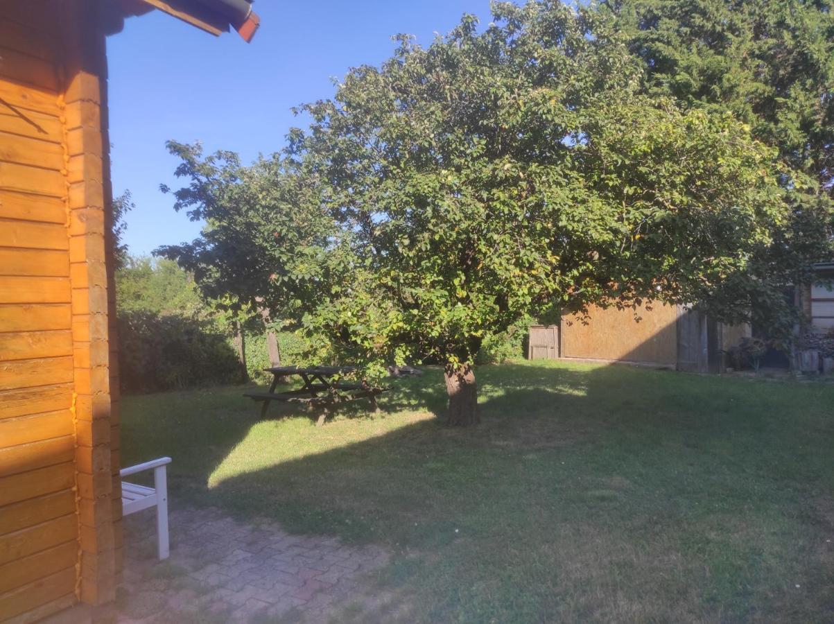 Chalet Du Florival Soultz-Haut-Rhin Eksteriør billede
